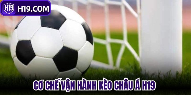 Cơ chế vận hành Kèo châu Á H19