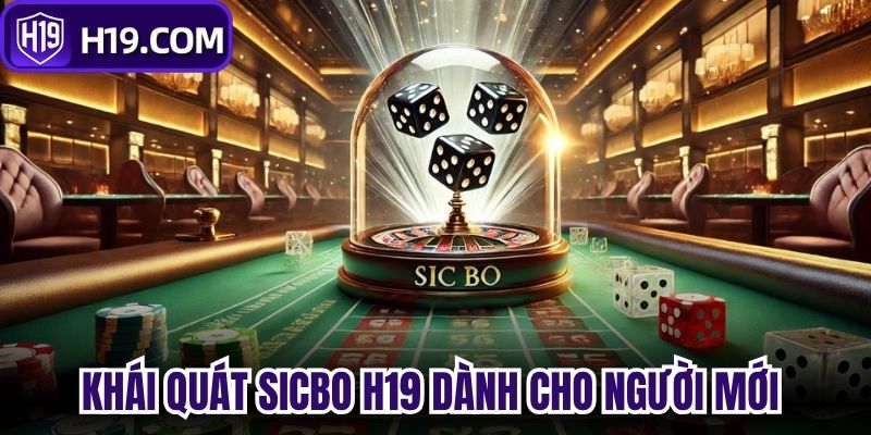 Khái quát Sicbo H19 dành cho người mới 